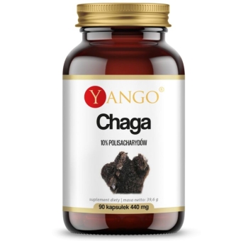 Yango Chaga ekstrakt 10% polisacharydów 90kapsułek cena 58,90zł