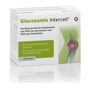 Dr Enzmann Glucosamin-Intercell 120kapsułek Mito-Pharma cena 189,90zł